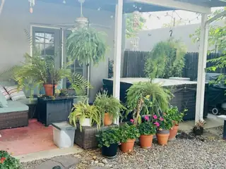 606 Tulane Drive NE Backyard