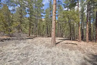 Lot 49 A Cool Pines, Jemez Springs 