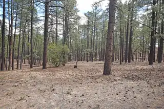 Lot 49 A Cool Pines 