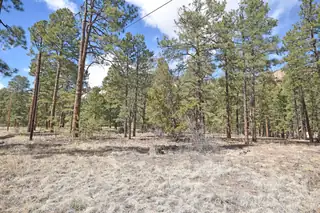 Lot 49 A Cool Pines 