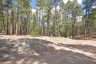 Lot 49 A Cool Pines 