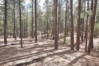 Lot 49 A Cool Pines 