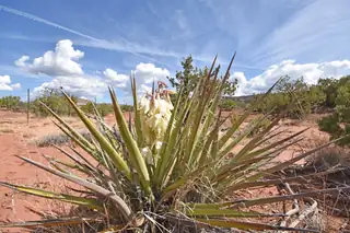 Lot 16 Unit 2 Jemez Canyon Estates 