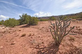 Lot 16 Unit 2 Jemez Canyon Estates 