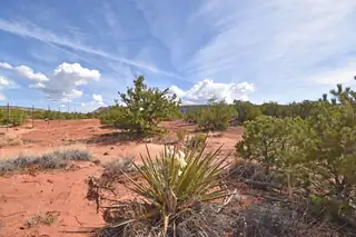 Lot 16 Unit 2 Jemez Canyon Estates 
