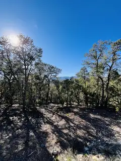 31 Camino Del Poniente 