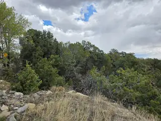 196 Via Sedillo Road 