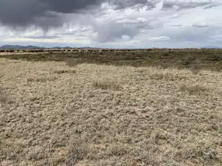 E Cummings - Lot 78 Avenue 