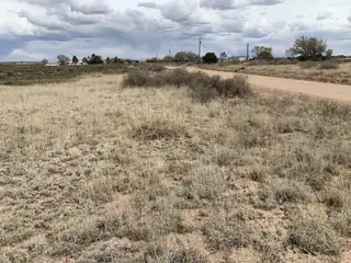 E Cummings - Lot 79 Avenue 