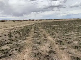 Parker Way - Lot 87, Moriarty 