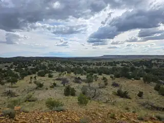 469 Co Rd 11 