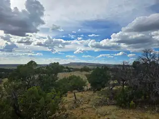 469 Co Rd 11 