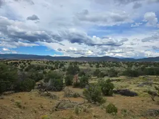 469 Co Rd 11 