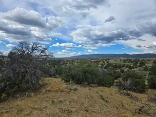 469 Co Rd 11 