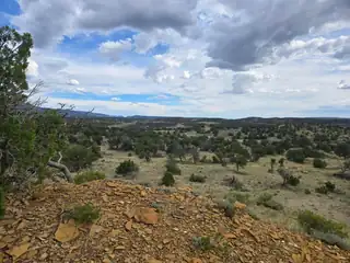 469 Co Rd 11 