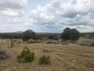 469 Co Rd 11 