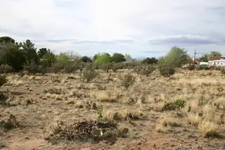 11301 Carmel Avenue NE 