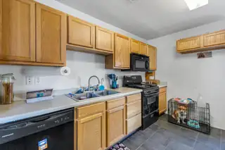 3135 Primo Colores Street 