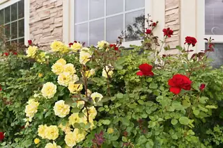 8715 Warm Springs Road NW 