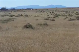 0 Galloway/Belgian Avenue 