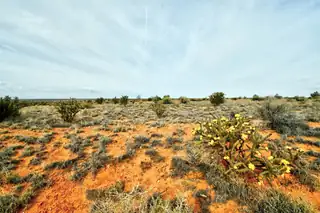 4521 Diane Street NE 