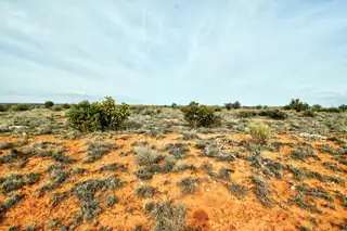 4521 Diane Street NE 