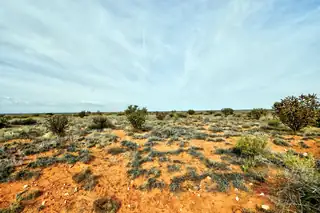 4521 Diane Street NE 