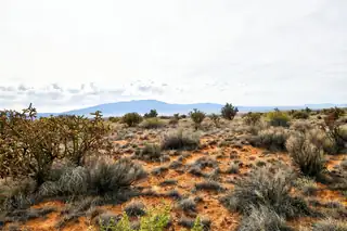 4513 Diane Street NE 