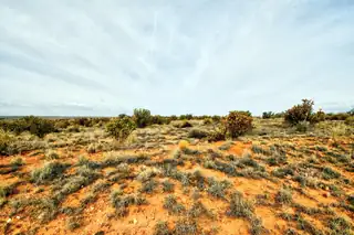 4513 Diane Street NE 