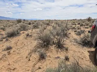 3812 Black Juniper Court NE 