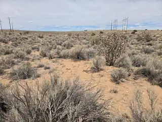 3812 Black Juniper Court NE 