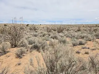 3812 Black Juniper Court NE 