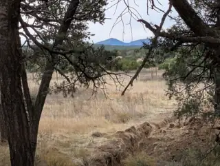 14 Falling Star Drive, Tijeras 