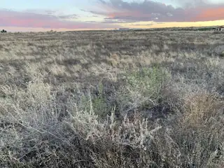 Esperanza - Lots 6-8 Avenue 