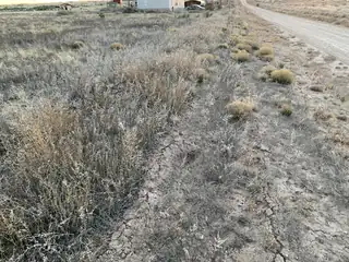 Esperanza - Lots 6-8 Avenue 