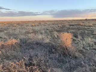 Loma Del Sol - Lots 2-4 Avenue 