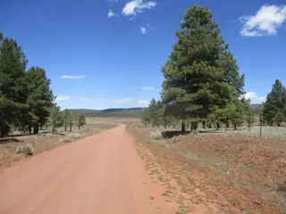 Forest Road 157 
