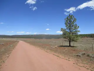 Forest Road 157 