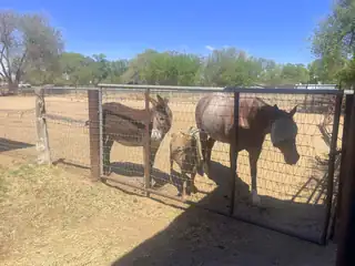 2607 Del Sur Drive SW 