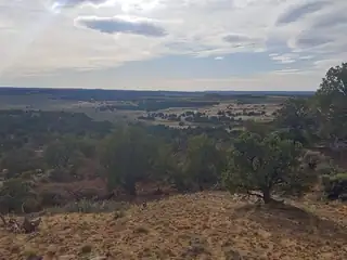 State Highway 595, Lindrith 