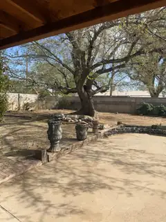 9018 Phoenix Avenue NE Backyard