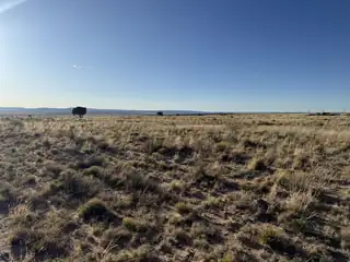 504 & 505 Twining Lane 