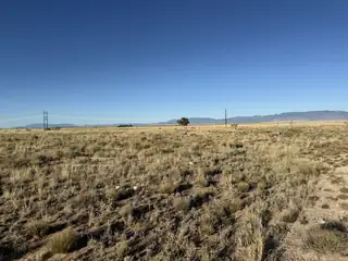 504 & 505 Twining Lane 