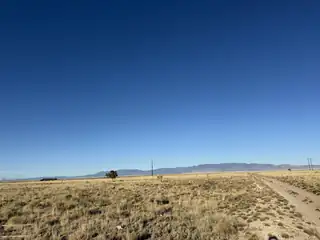 504 & 505 Twining Lane 