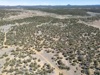 42 Jackrabbit Trail 