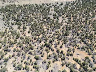 42 Jackrabbit Trail 