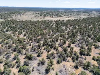 42 Jackrabbit Trail 