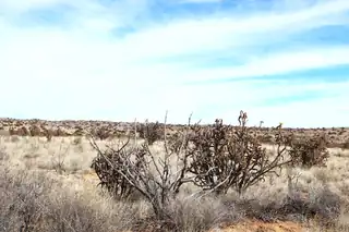 Lot 23 Rio Rancho Estates NE 