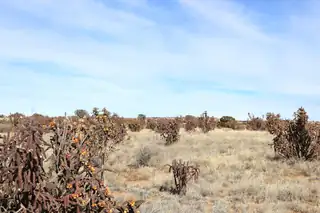 Lot 23 Rio Rancho Estates NE 