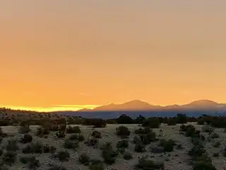 100 Wild Primrose Road 